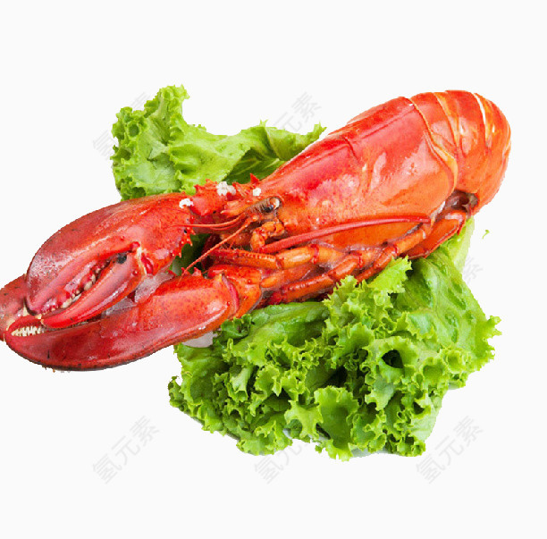 龙虾配青菜