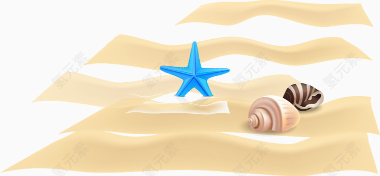 沙滩海螺海星矢量图