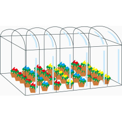 温室大棚里的花卉
