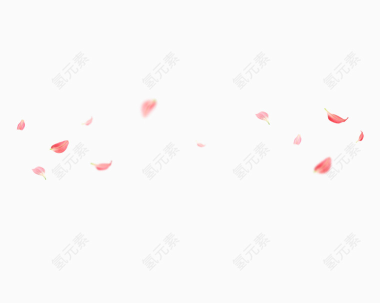 粉红色飘落花瓣