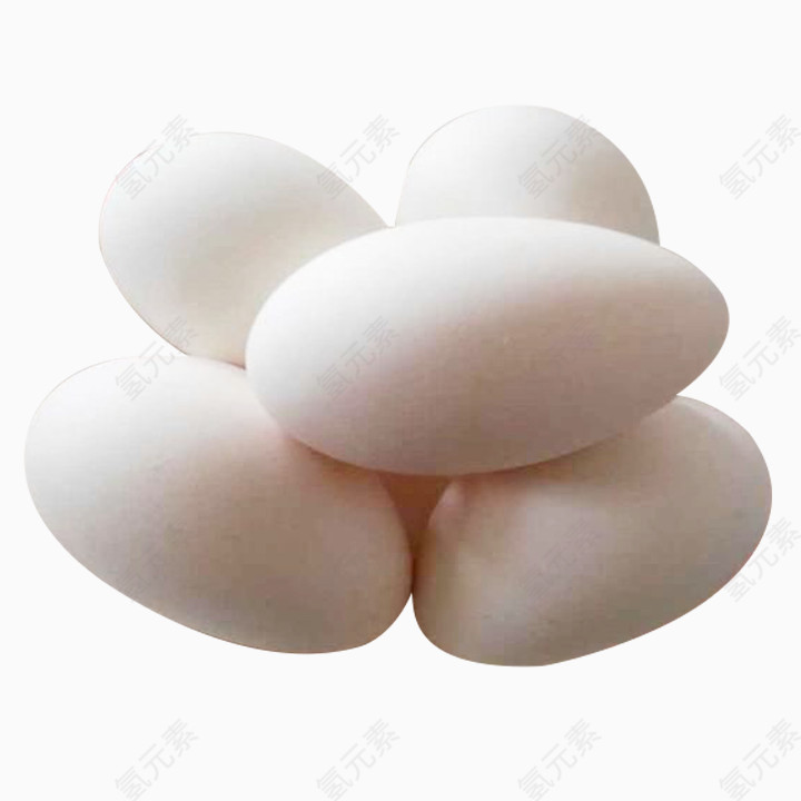 白色鹅蛋图片素材