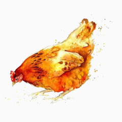 母鸡啄食手绘画素材图片