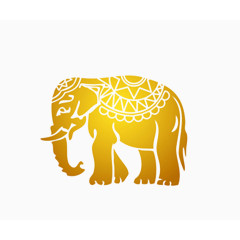 泰国 大象  金色素材 大象喝水