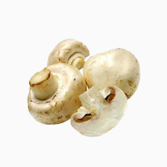 白色小蘑菇免抠素材
