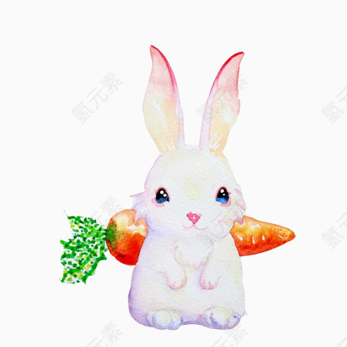 兔子背胡萝卜素材图片