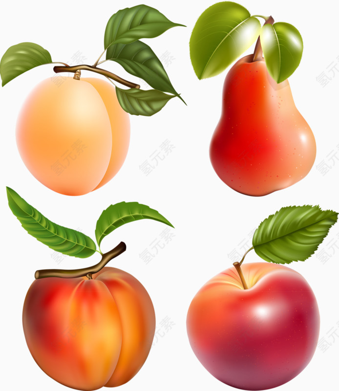 分类水果图