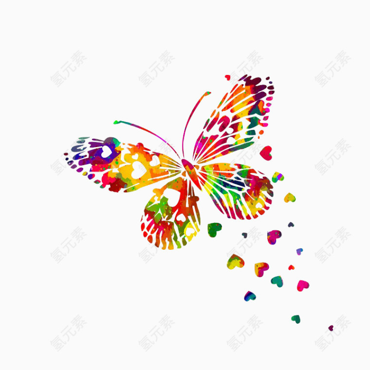 飞翔的美丽花蝴蝶