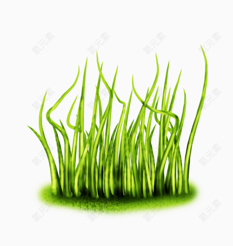 绿色水草