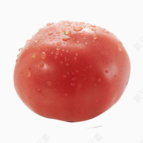 一个西红柿