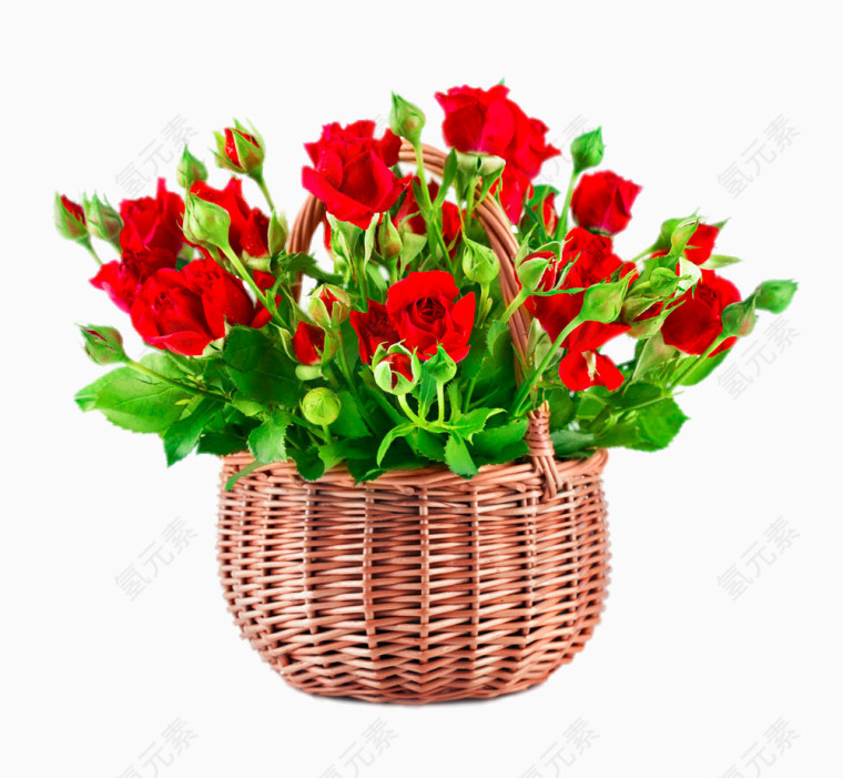 篮子中的红玫瑰花