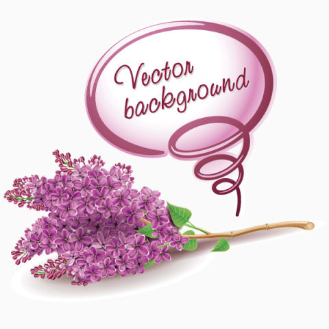 精美紫丁香花卉背景矢量素材下载