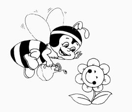 浇花的蜜蜂