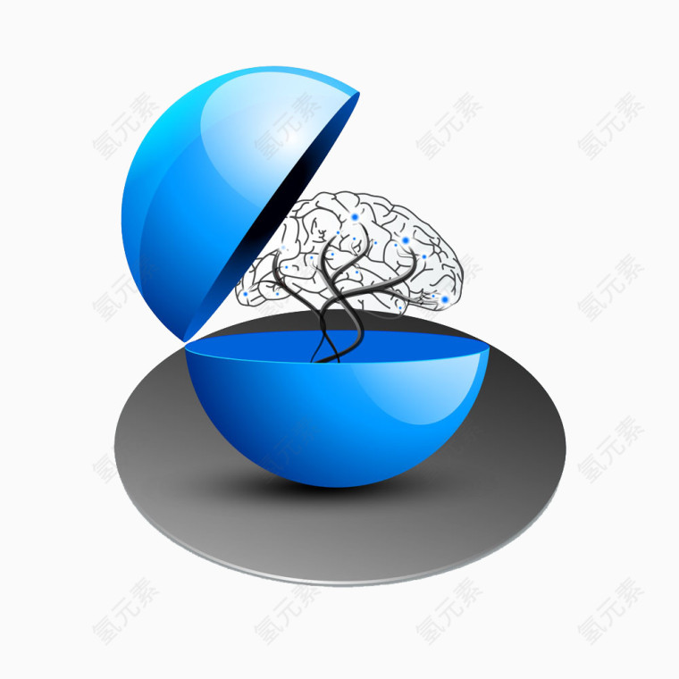 蓝色球体内的人脑图片