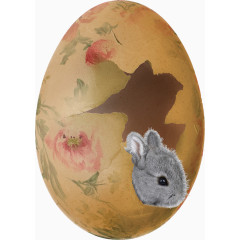 兔子蛋壳
