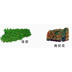 园林绿植素材