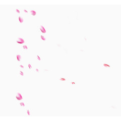 飘零的粉色花瓣
