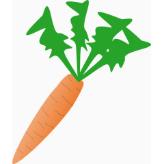 细小的胡萝卜