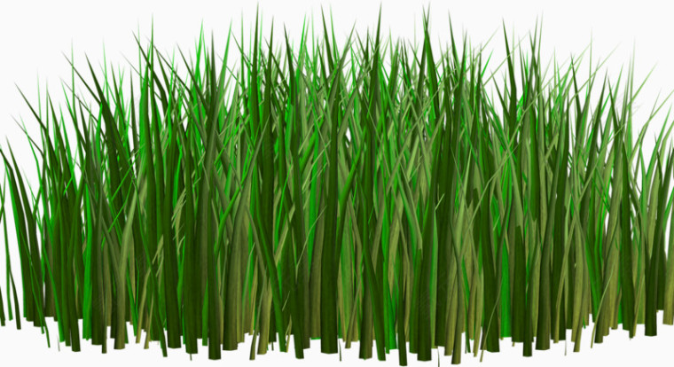 绿色草丛图案