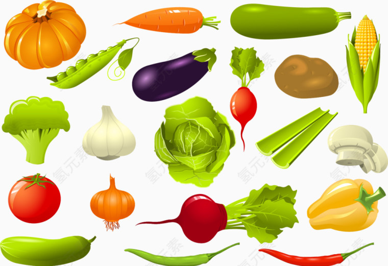 矢量的蔬菜图