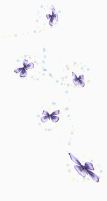 紫蝶下载
