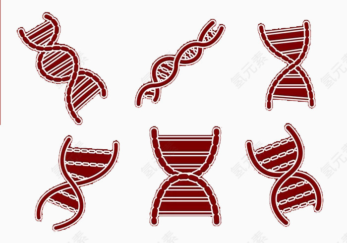 矢量医学药基因链