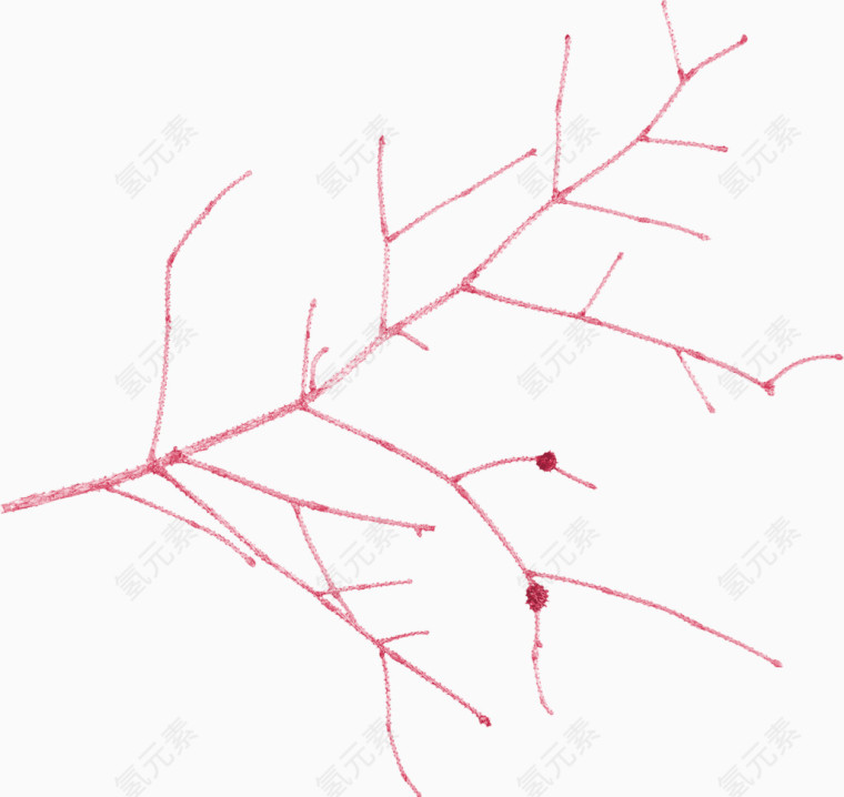 红色漂亮树枝