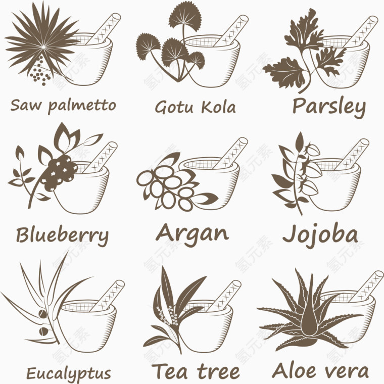 创意植物图标设计