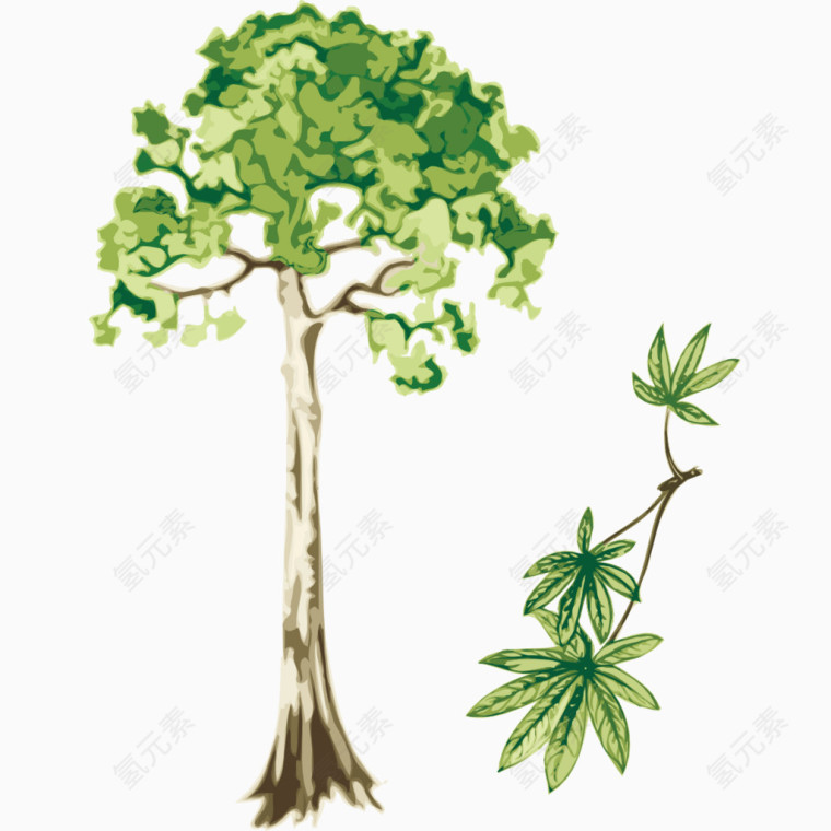 绿色树木植被