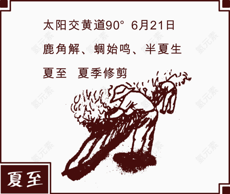 手绘夏至插图矢量图