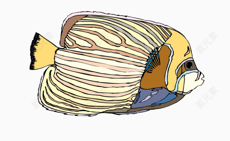 矢量条纹观赏鱼素材