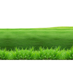 绿色草地