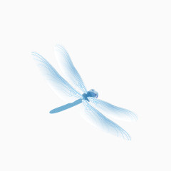 蓝色蜻蜓