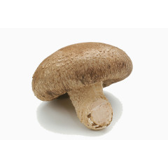 新鲜的菌菇