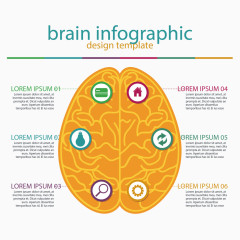 矢量大脑和信息图