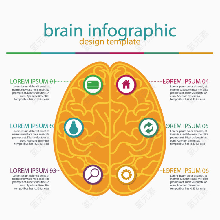 矢量大脑和信息图