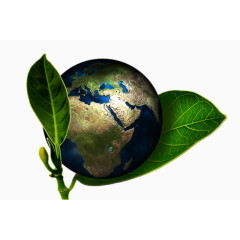 地球绿化