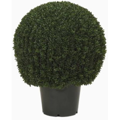 球形绿植盆栽装饰