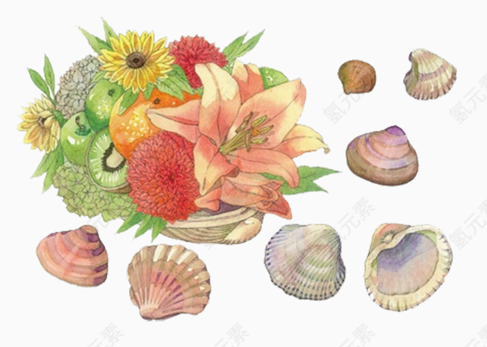 水果和海螺