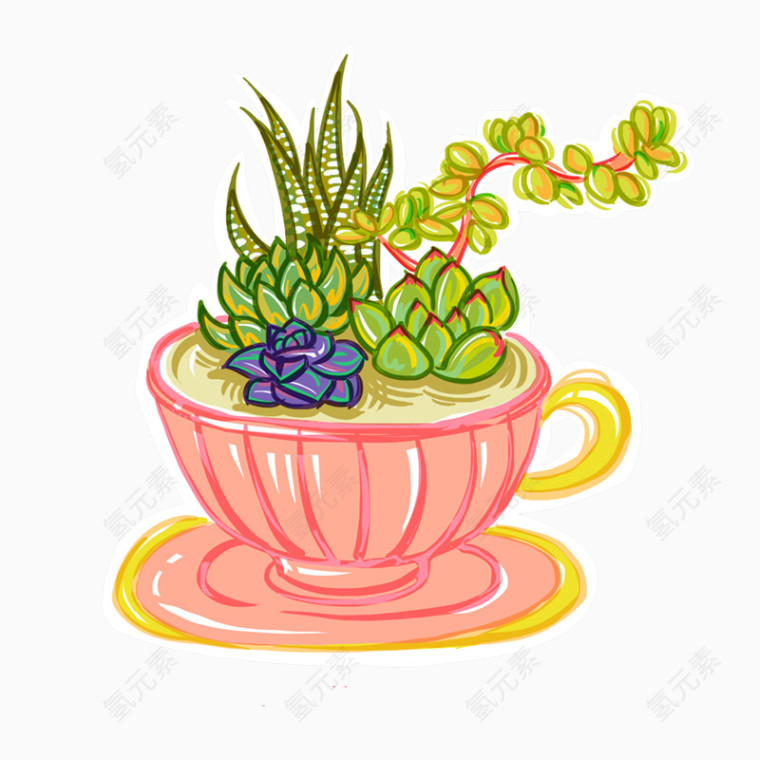 咖啡杯里的植物