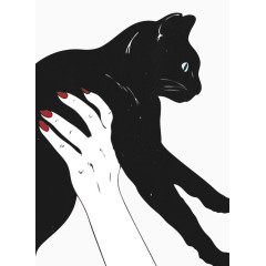 白色手举着黑色的猫