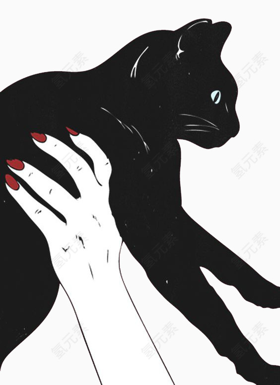 白色手举着黑色的猫