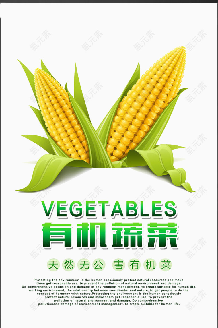 玉米健康绿色海报素材