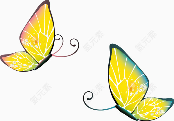色彩丰富的两款蝴蝶矢量素材