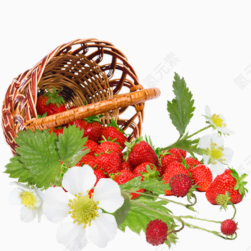 草莓篮筐