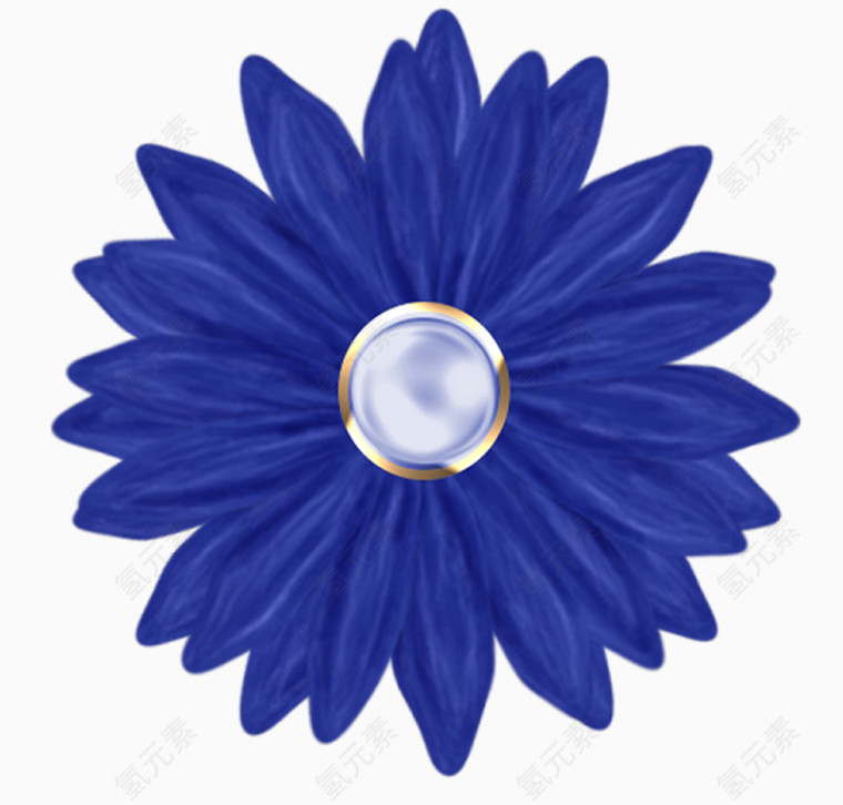 蓝色千叶菊