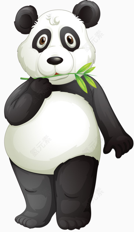 呆萌大熊猫