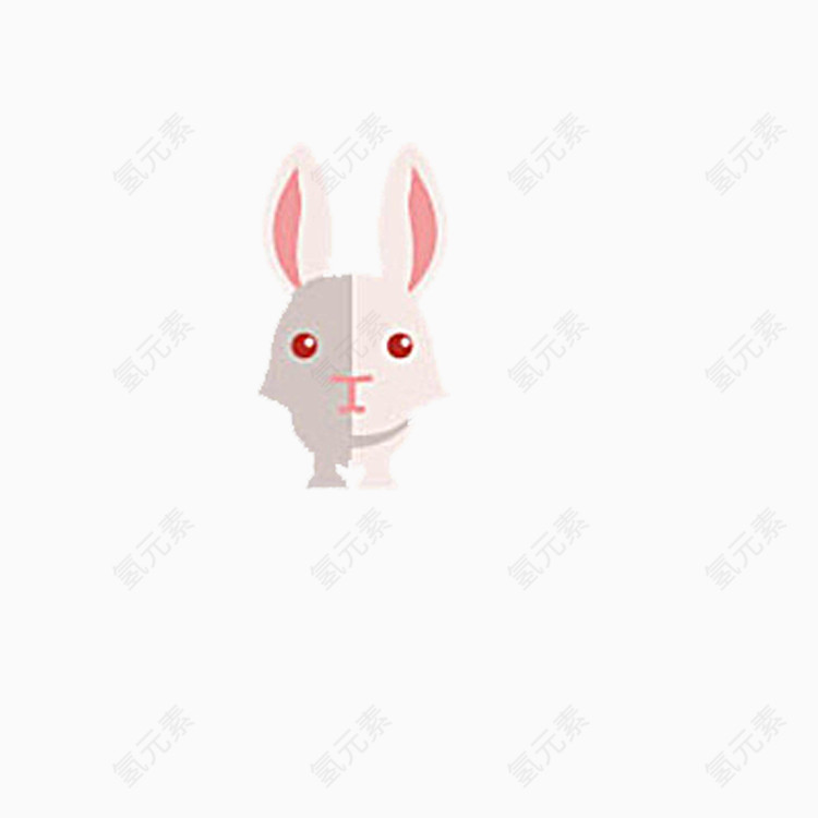 白色的兔子