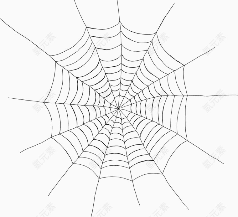 圆形蜘蛛网