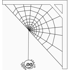 黑白蜘蛛网蜘蛛