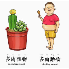 多肉植物形象描述